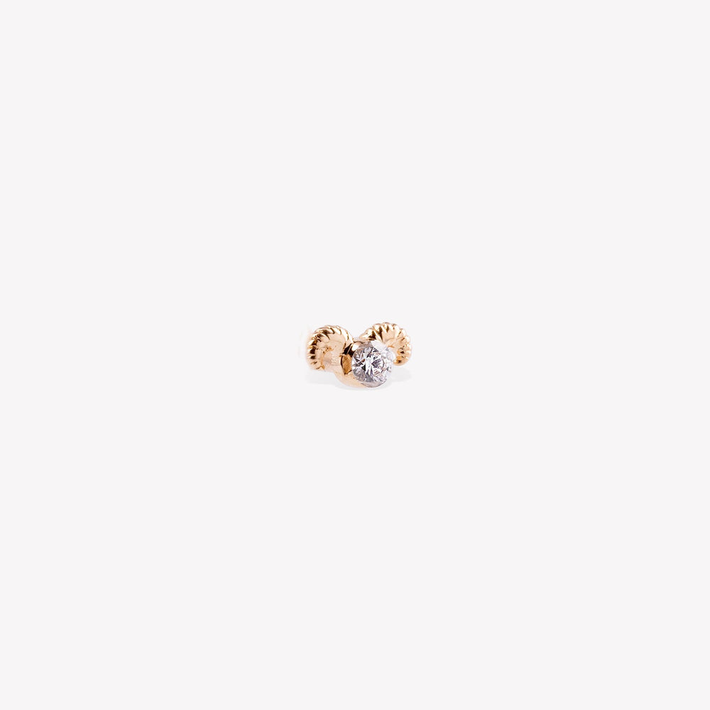 Aries Sabit Piercing