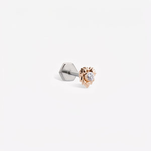 Aslan Burcu Piercing