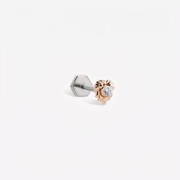 Aslan Burcu Piercing