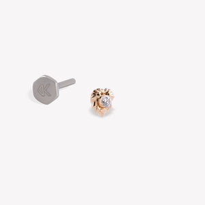 Aslan Burcu Piercing