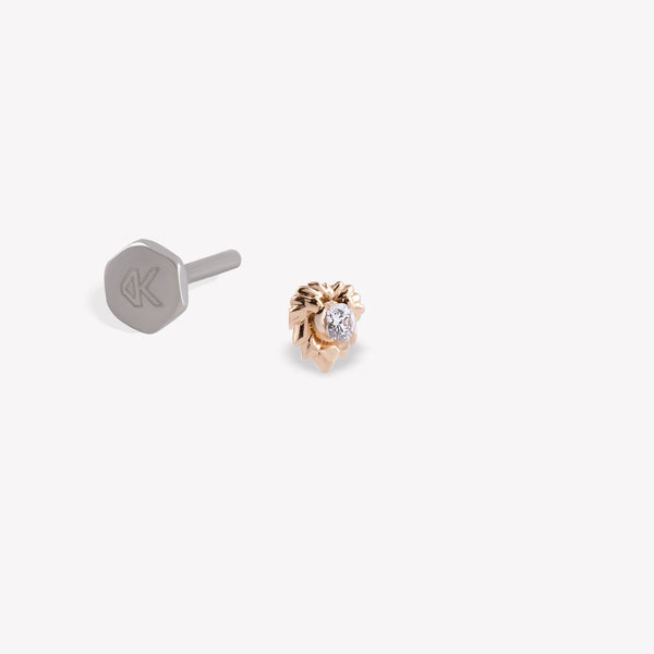 Aslan Burcu Piercing