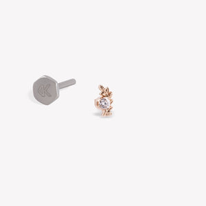 Başak Burcu Piercing