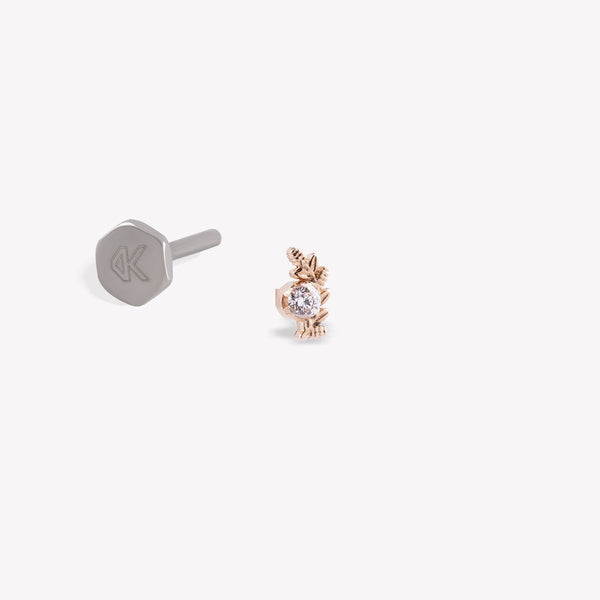 Başak Burcu Piercing