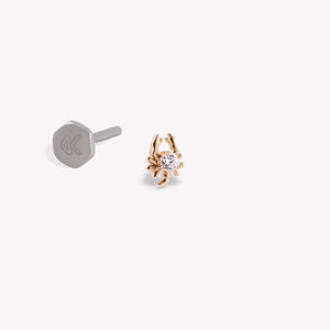Akrep Burcu Piercing