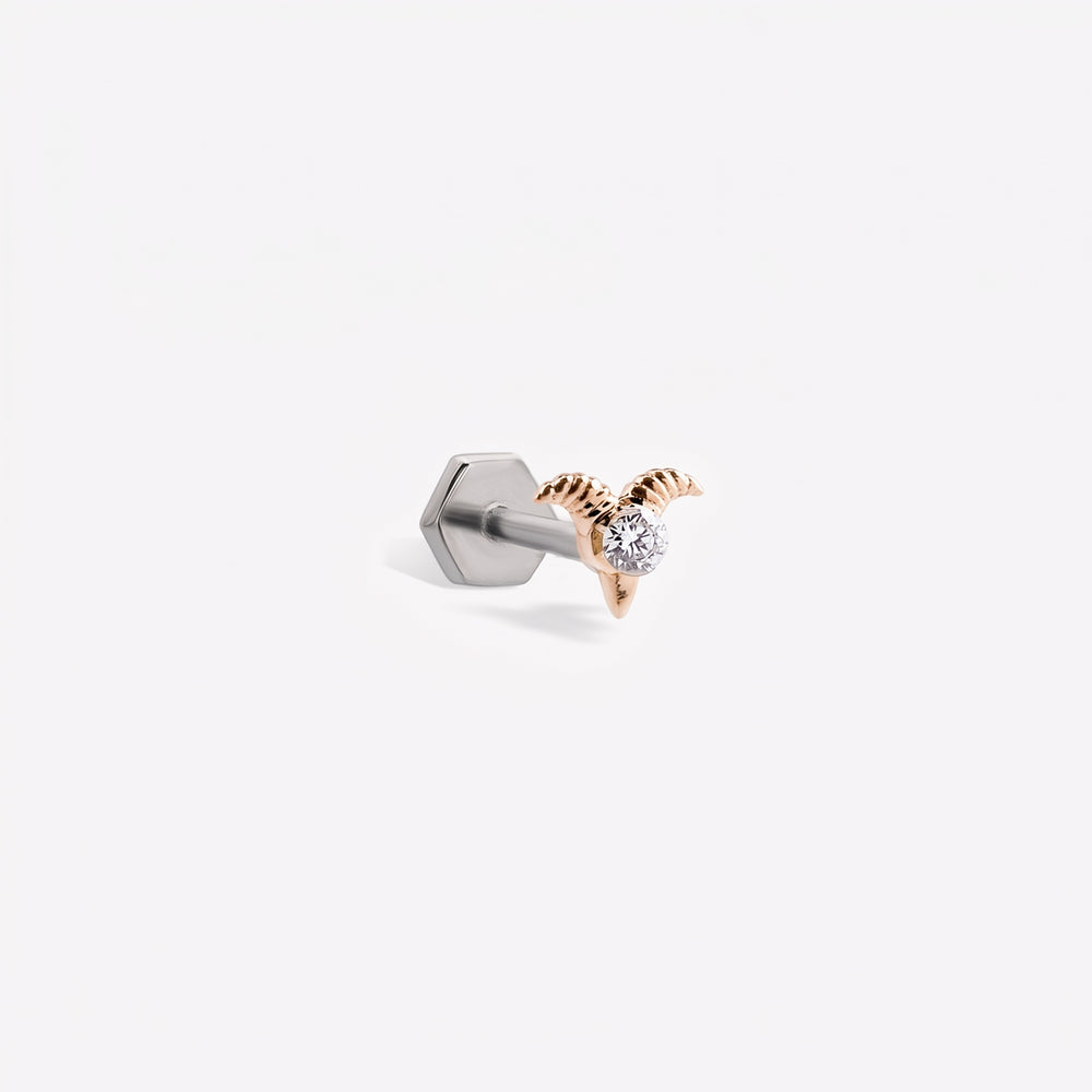 Oğlak Burcu Piercing