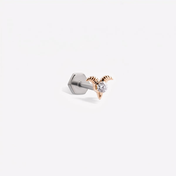Oğlak Burcu Piercing