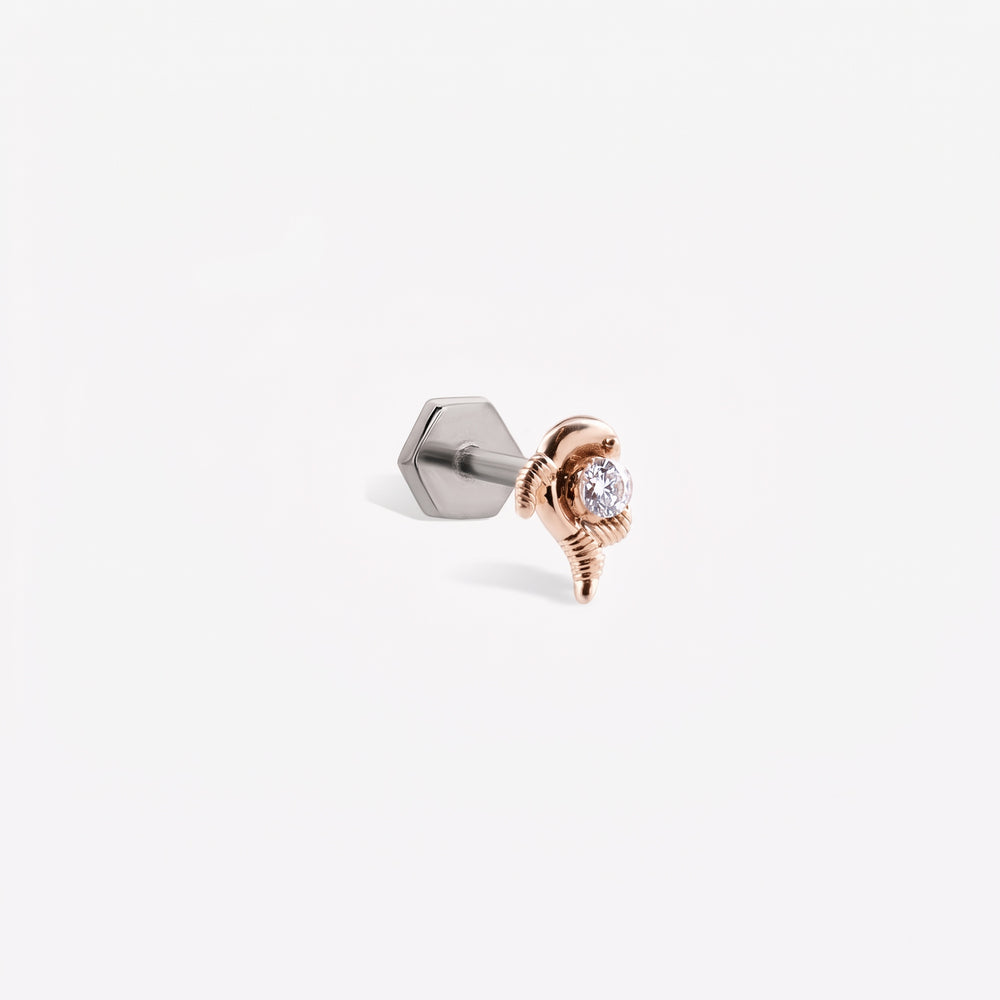 Balık Burcu Piercing