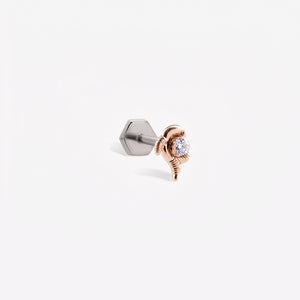Balık Burcu Piercing