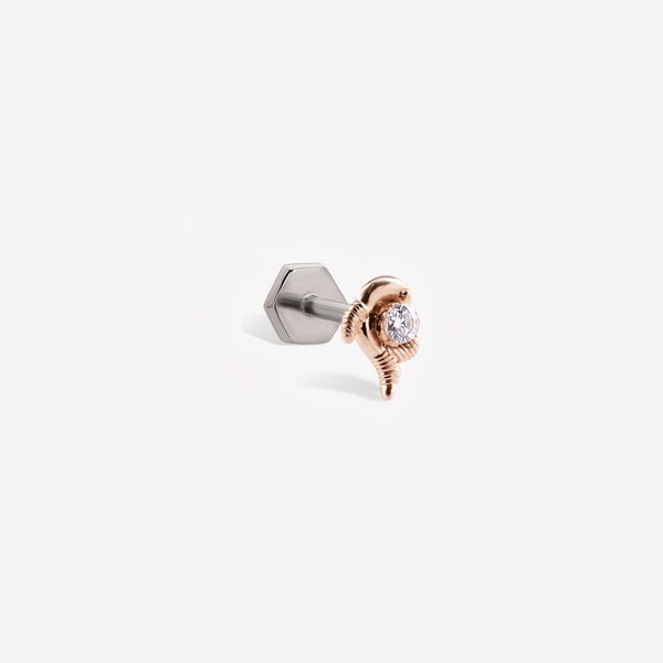 Balık Burcu Piercing