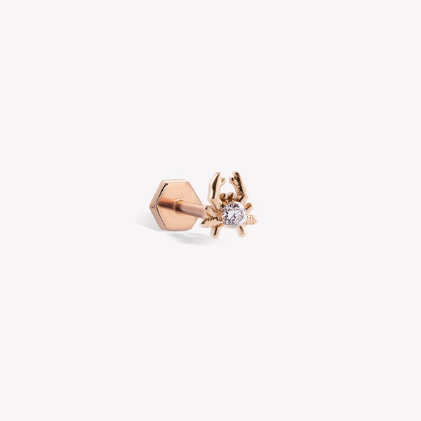 Yengeç Burcu Piercing
