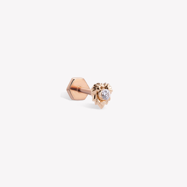 Aslan Burcu Piercing