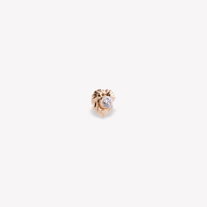 Aslan Burcu Piercing