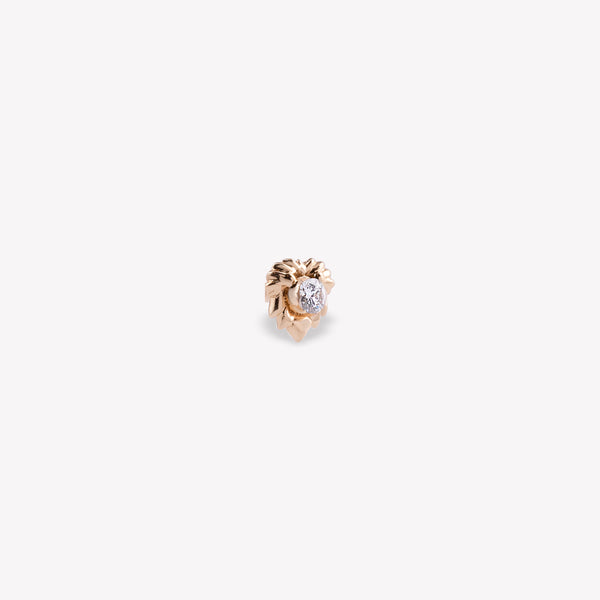 Aslan Burcu Piercing