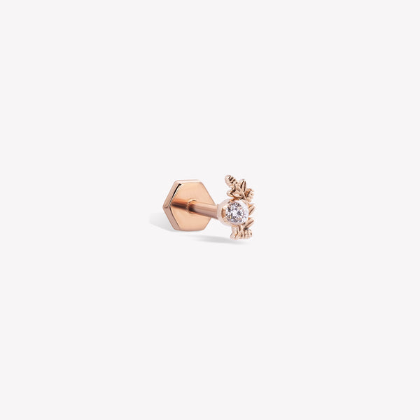 Başak Burcu Piercing