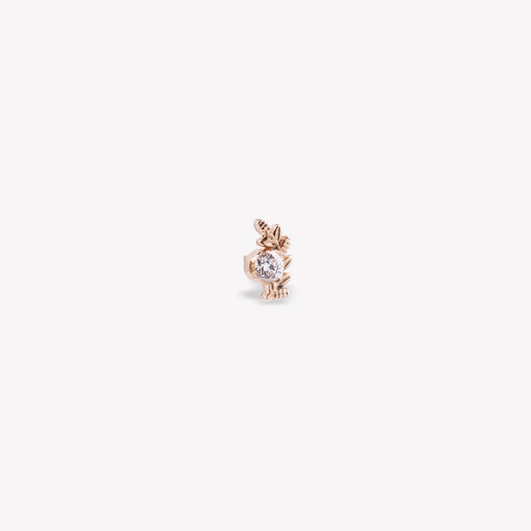 Başak Burcu Piercing