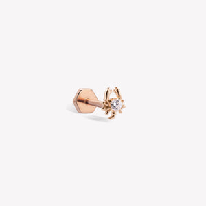 Akrep Burcu Piercing