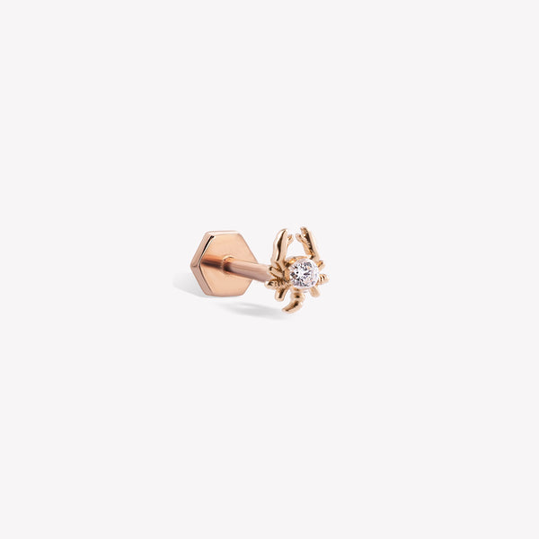 Akrep Burcu Piercing