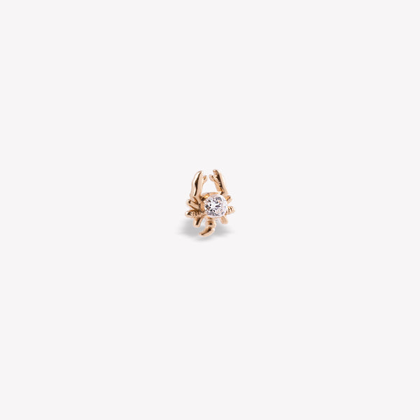 Akrep Burcu Piercing
