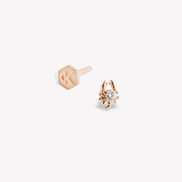 Akrep Burcu Piercing