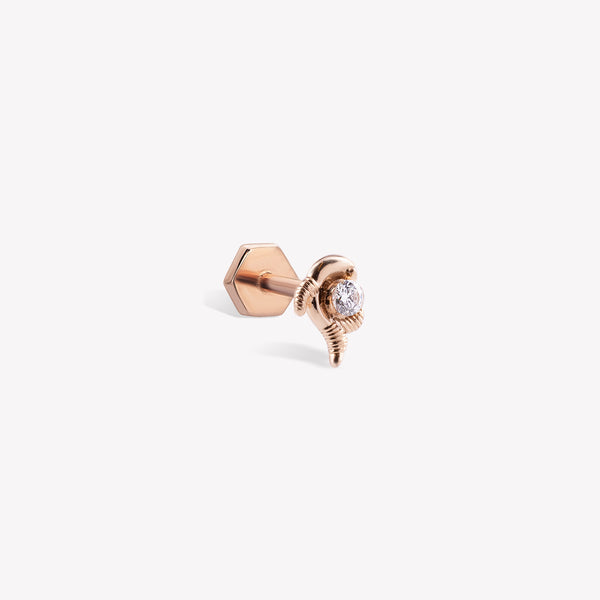 Balık Burcu Piercing