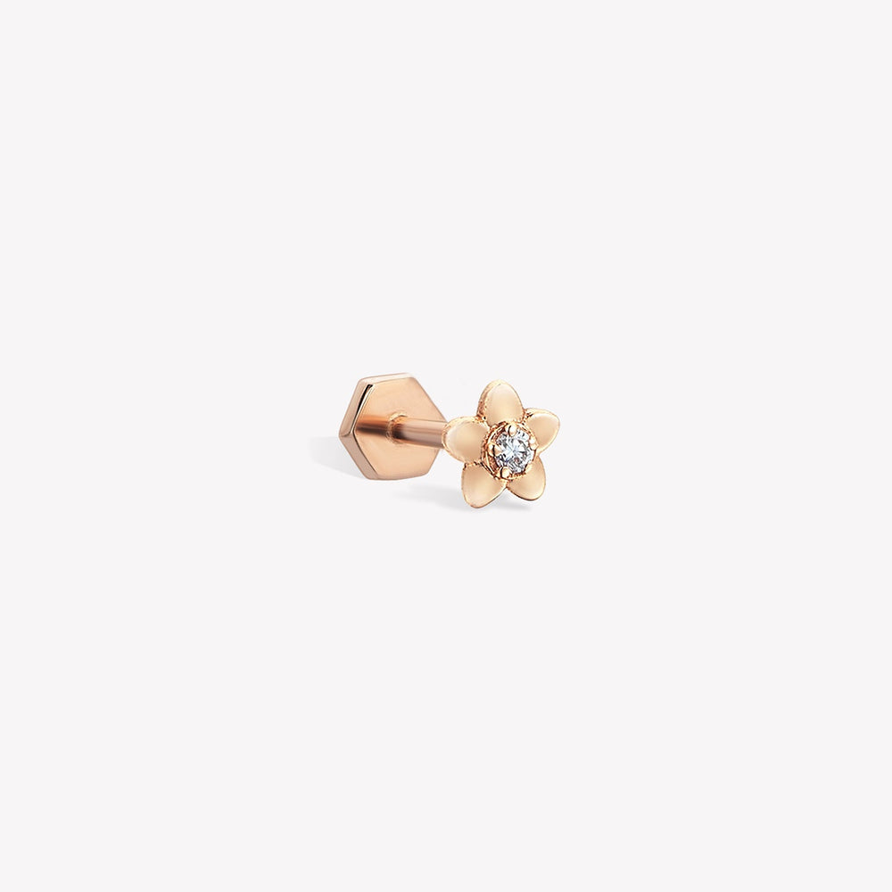 Daisy Sabit Piercing